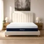 BalanceMedium1