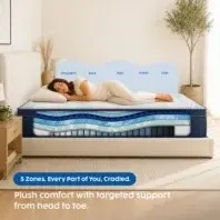 ColorChange ZoneDiagram Wellness Plush