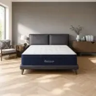WellnessFirm1