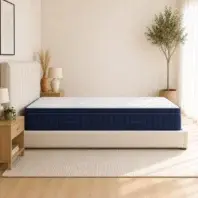 WellnessPlush3