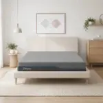 iDreamFlex1