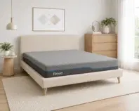 iDreamFlex2