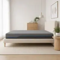 iDreamFlex5