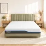 iDreamPremium1