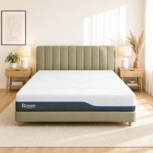 iDreamPremium1