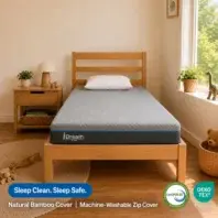iDreamStar5