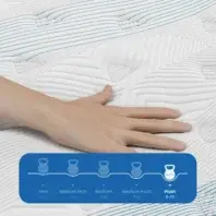 Wellness Plush