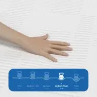 iDreamPremium